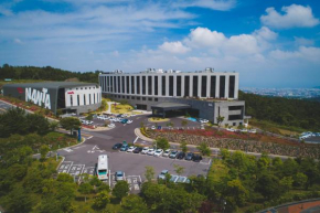 Отель Hotel Nanta Jeju  Пукчеджу
